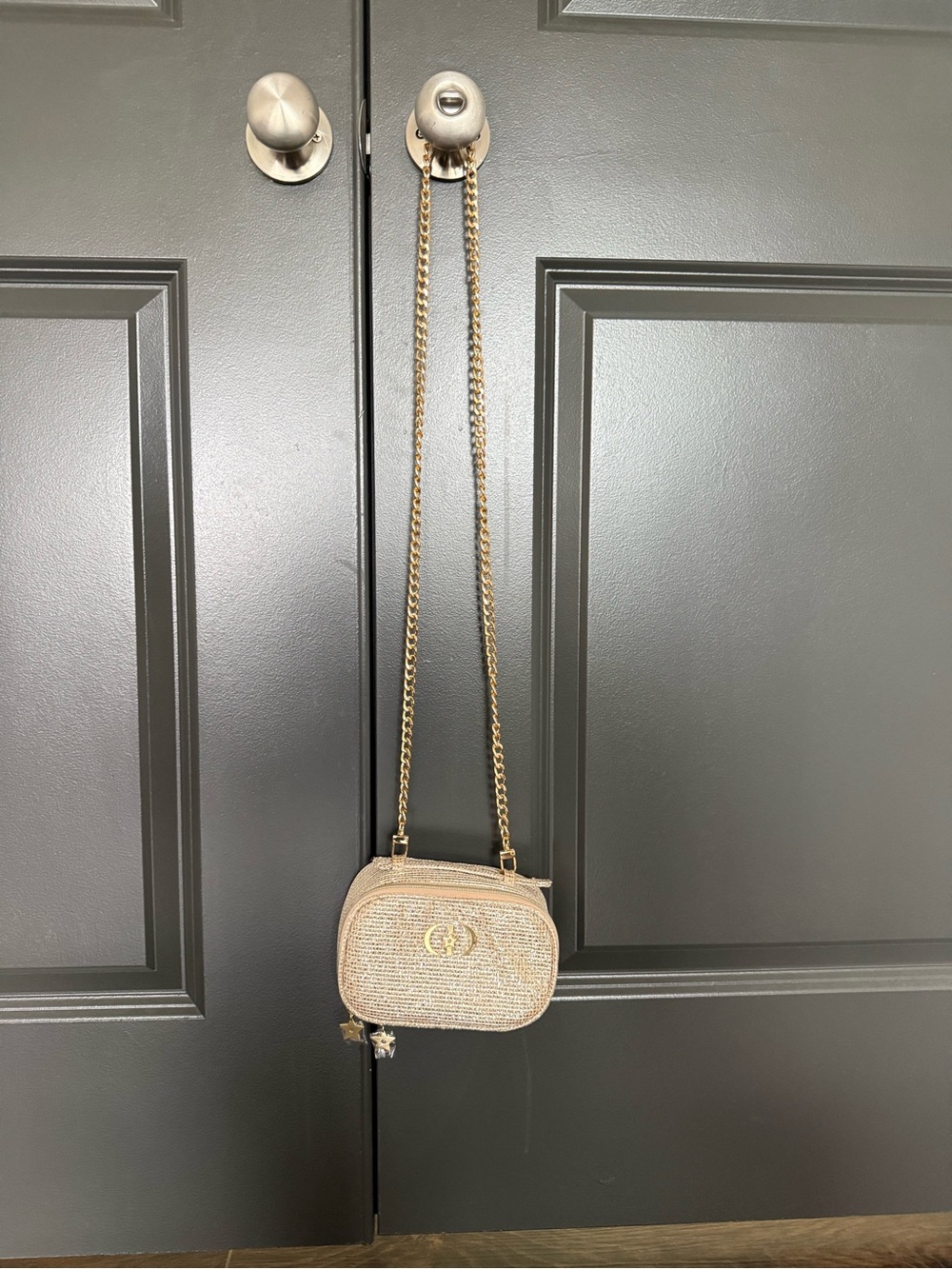 Dior Metallic Gold Crossbody Cosmetic Bag with Chain Strap